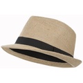 Image of Cappelli Trespass Fedora067