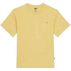 Abbigliamento Uomo T-shirt & Polo Dickies  Giallo