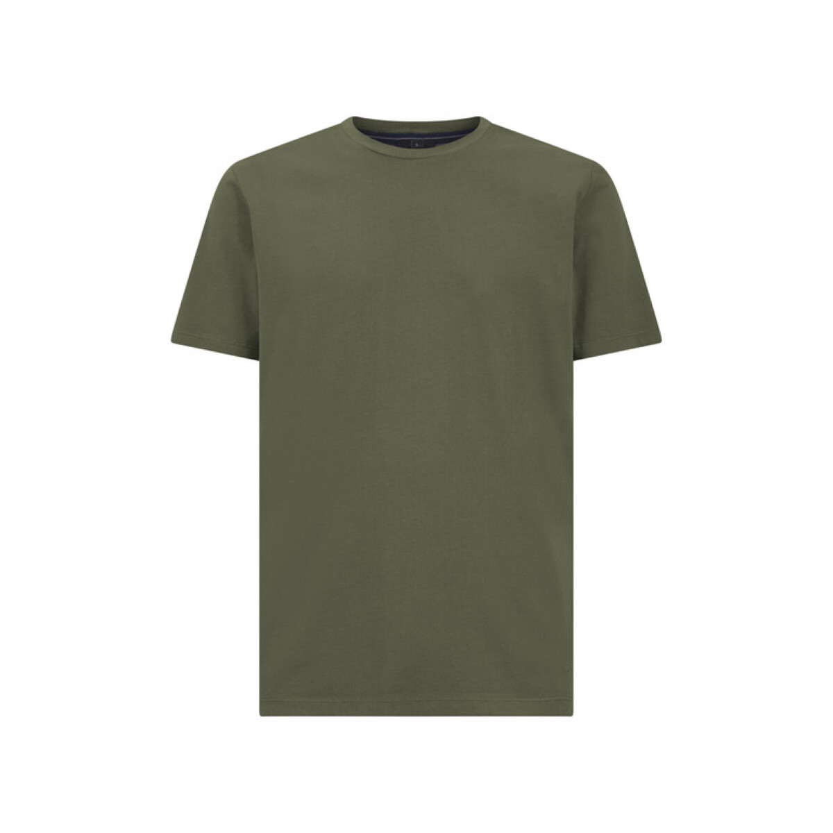 Abbigliamento Uomo T-shirt & Polo Geox M4510BT3097F3511 Verde
