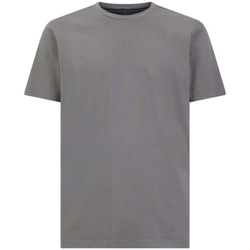 Abbigliamento Uomo T-shirt maniche corte Geox M4510BT3097F9128 Grigio