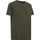 Abbigliamento Uomo T-shirt maniche corte Geox M4510DT3091F3408 Verde
