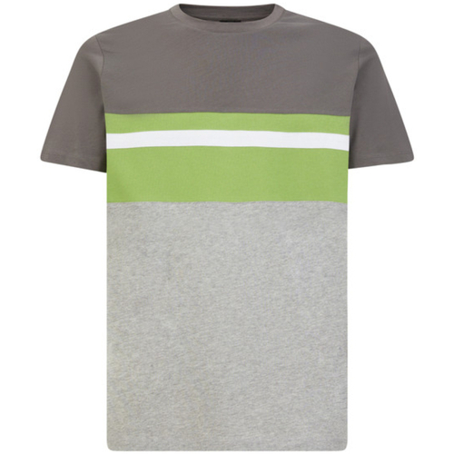 Abbigliamento Uomo T-shirt maniche corte Geox M4510FT3091F1779 Grigio