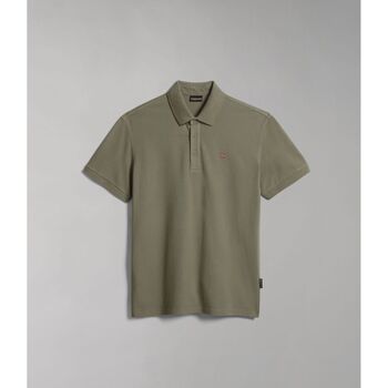 Abbigliamento Uomo T-shirt & Polo Napapijri EOLANOS 3 NP0A4GB3.-GAE GREEN LICHEN Verde