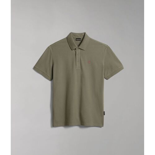 Abbigliamento Uomo T-shirt & Polo Napapijri EOLANOS 3 NP0A4GB3-GAE GREEN LICHEN Verde