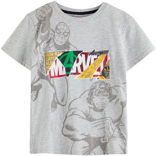 Abbigliamento Unisex bambino T-shirt maniche corte Marvel NS8173 Grigio