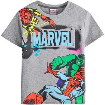 Abbigliamento Unisex bambino T-shirt & Polo Marvel NS8186 Grigio