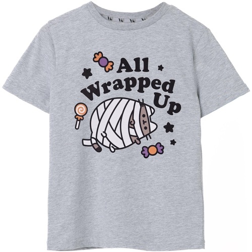 Abbigliamento Bambina T-shirts a maniche lunghe Pusheen Halloween Mummy Grigio