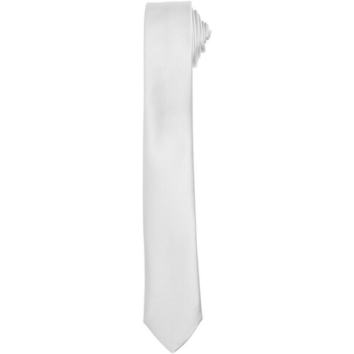 Abbigliamento Cravatte e accessori Premier PR793 Multicolore