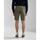 Abbigliamento Uomo Shorts / Bermuda Napapijri N-DEASE NP0A4I4U-GAE GREEN LICHEN Verde