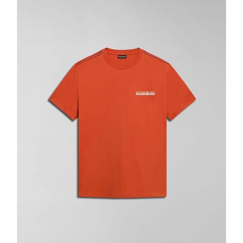 Abbigliamento Uomo T-shirt & Polo Napapijri S-GRAS NP0A4HQN-A62 ORANGE BURNT Arancio