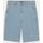 Abbigliamento Uomo Shorts / Bermuda Dickies MADISON SHORT - DK0A4YSYC151-VINTAGE AGED BLUE Blu