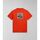 Abbigliamento Uomo T-shirt & Polo Napapijri S-GOUIN NP0A4HTQ-A63 ORANGE SPICY Arancio