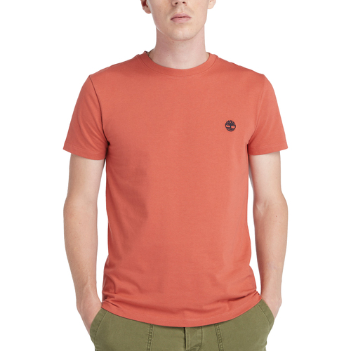 Abbigliamento Uomo T-shirt maniche corte Timberland Dunstan River Rosso