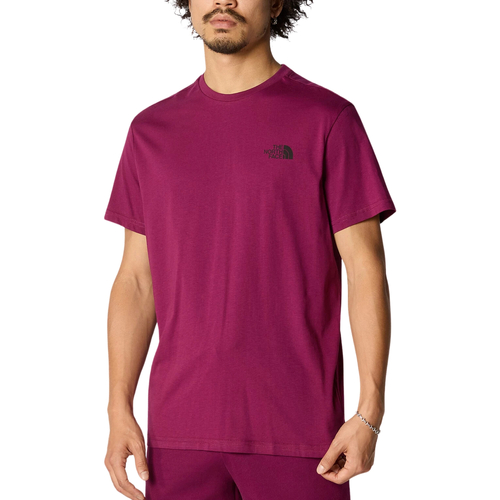 Abbigliamento Uomo T-shirt maniche corte The North Face Simple Dome Viola