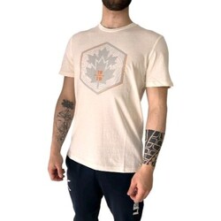 Abbigliamento Uomo T-shirt & Polo Lumberjack CM60343-067 Bianco