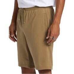 Abbigliamento Uomo Shorts / Bermuda DC Shoes ADYFB03071-TNF0 Beige