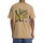 Abbigliamento Uomo T-shirt & Polo DC Shoes ADYZT05392-CJZ0 Beige