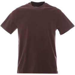 Abbigliamento Uomo T-shirt & Polo Sseinse TE2654SS Marrone