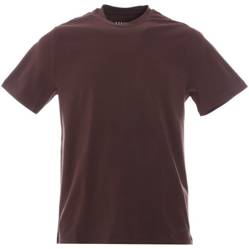 Abbigliamento Uomo T-shirt & Polo Sseinse TE2654SS Marrone