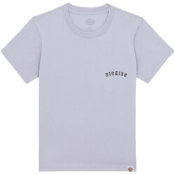 Abbigliamento Donna T-shirt maniche corte Dickies W SALTVILLE TEE SS Blu