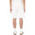 Abbigliamento Uomo Shorts / Bermuda Dickies MAPLETON SHORT Beige