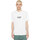 Abbigliamento Uomo T-shirt maniche corte Dickies MAX MEADOWS TEE SS Bianco