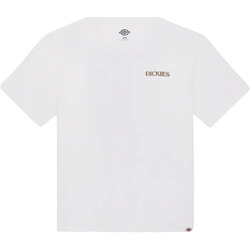 Abbigliamento Uomo T-shirt maniche corte Dickies HERNDON TEE SS Bianco