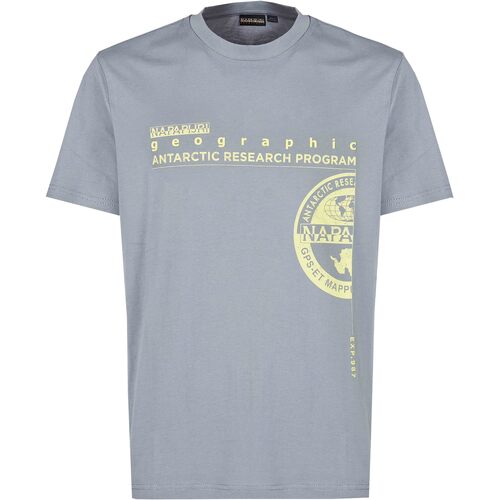 Abbigliamento Uomo T-shirt & Polo Napapijri S-MANTA SS1 H581 Grey owl