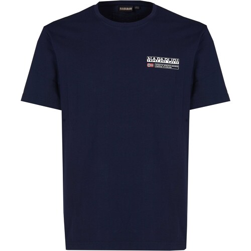 Abbigliamento Uomo T-shirt maniche corte Napapijri S-KASBA 1761 Blu