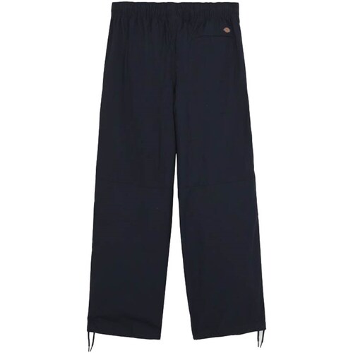Abbigliamento Uomo Pantaloni 5 tasche Dickies DK0A4YSDDNX1 Blu