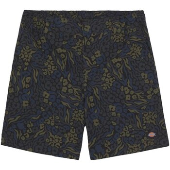 Abbigliamento Uomo Shorts / Bermuda Dickies DK0A4YSHJ461 Altri
