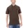 Abbigliamento Uomo T-shirt & Polo Lyle & Scott Polo Con Dettagli A Contrasto Olive  Burgundy Verde