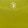 Borse Donna Borse a spalla U.S Polo Assn. BEUHU6052WIP-GREENTAN Verde
