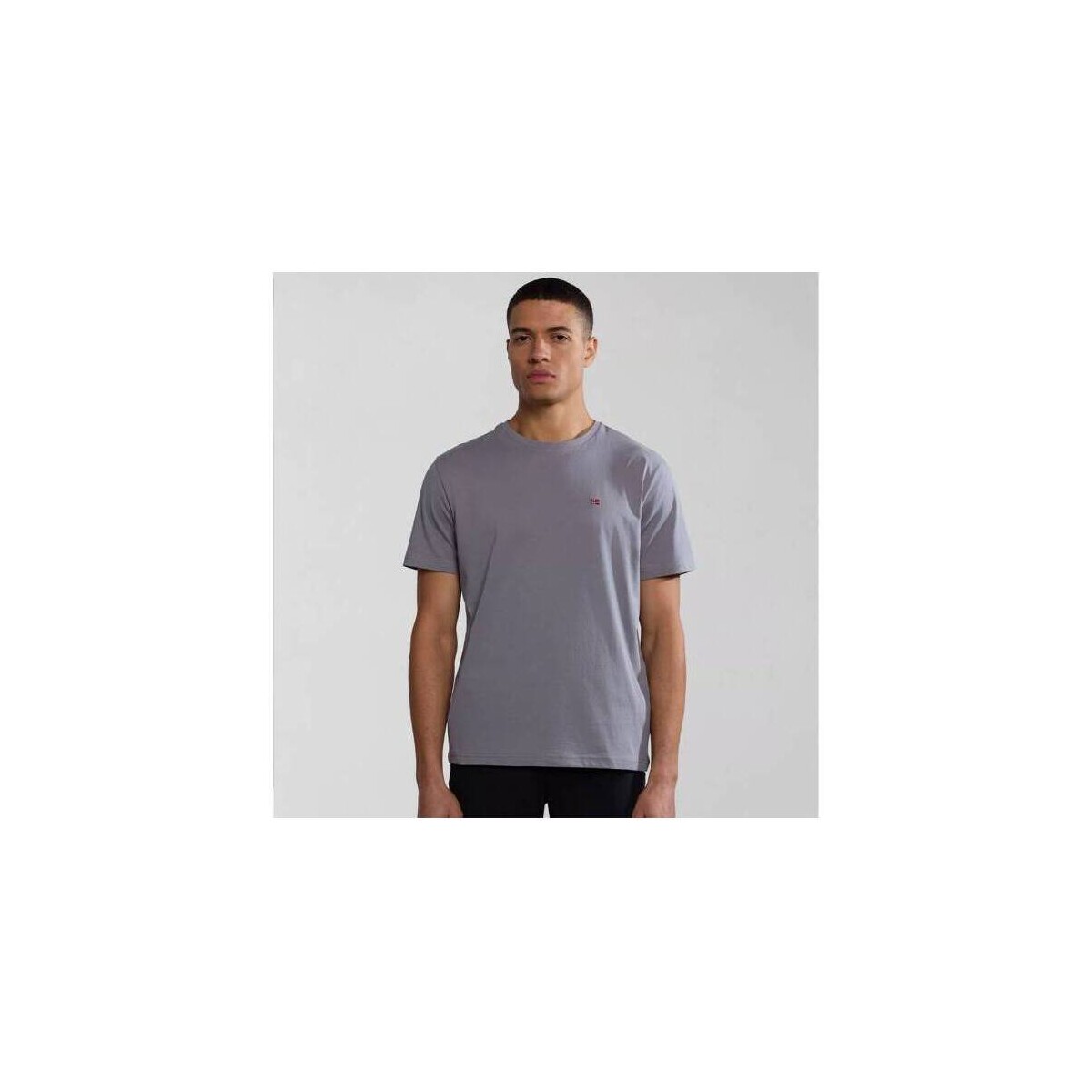 Abbigliamento Uomo T-shirt maniche corte Napapijri T-Shirt  Salis Grigio