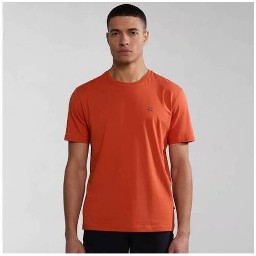 Abbigliamento Uomo T-shirt maniche corte Napapijri T-Shirt  Salis Arancio