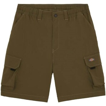 Abbigliamento Uomo Shorts / Bermuda Dickies DK0A4YACMGR1 Verde