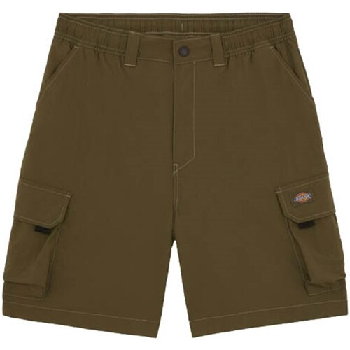 Abbigliamento Uomo Shorts / Bermuda Dickies DK0A4YACMGR1 Verde