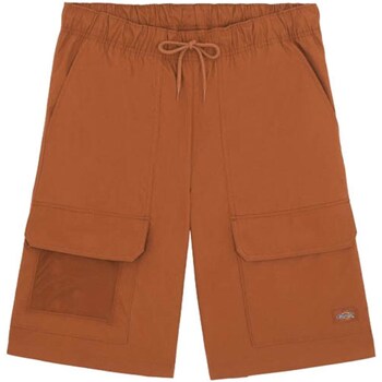 Abbigliamento Uomo Shorts / Bermuda Dickies DK0A4YSIH161 Altri