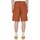 Abbigliamento Uomo Shorts / Bermuda Dickies DK0A4YSIH161 Altri