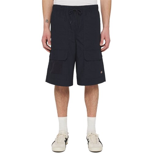 Abbigliamento Uomo Shorts / Bermuda Dickies DK0A4YSIDNX1 Blu