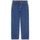 Abbigliamento Uomo Jeans Dickies Jeans Garyville Blu