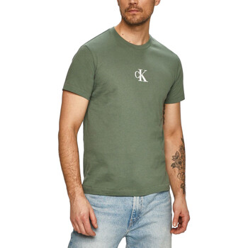 Abbigliamento Uomo T-shirt maniche corte Calvin Klein Jeans KM0KM00971 Verde