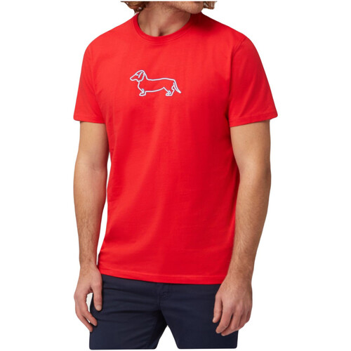Abbigliamento Uomo T-shirt & Polo Harmont & Blaine IRL003021223510 Altri