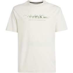 Abbigliamento Uomo T-shirt & Polo Calvin Klein Jeans Diffused Logo T-Shir Beige