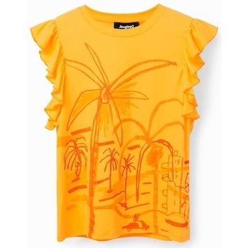 Abbigliamento Donna T-shirt maniche corte Desigual TS SHALMA 23SWTKCA Arancio