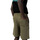Abbigliamento Uomo Shorts / Bermuda Dickies MAPLETON DK0A4Y83 Verde