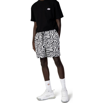 Abbigliamento Uomo Shorts / Bermuda Dickies LEESBURG DK0A4Y7Y Altri
