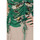Abbigliamento Donna Top / T-shirt senza maniche Desigual CRETU 24SWTK24 Verde