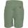 Abbigliamento Uomo Shorts / Bermuda U.S Polo Assn. BALD 67351 52088 Verde