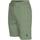 Abbigliamento Uomo Shorts / Bermuda U.S Polo Assn. BALD 67351 52088 Verde